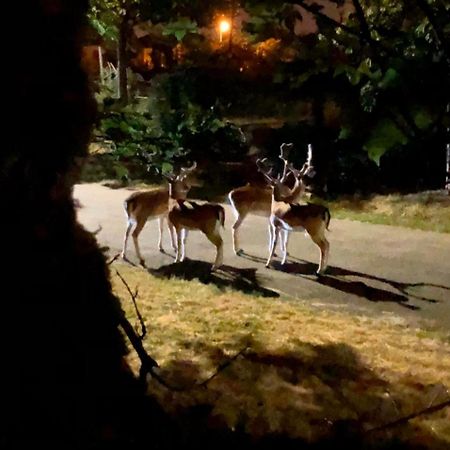 Willa Dans Un Cadre Exceptionnel, Ferme Renovee A 17Km De Paris Boissy-Saint-Léger Zewnętrze zdjęcie