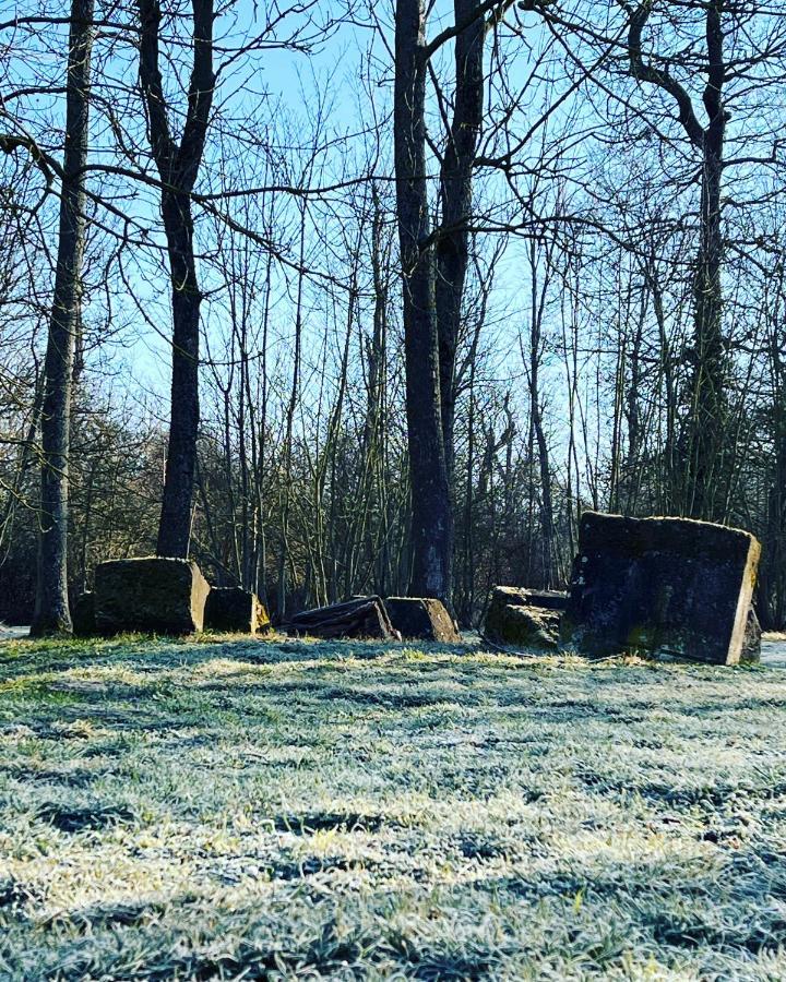 Willa Dans Un Cadre Exceptionnel, Ferme Renovee A 17Km De Paris Boissy-Saint-Léger Zewnętrze zdjęcie