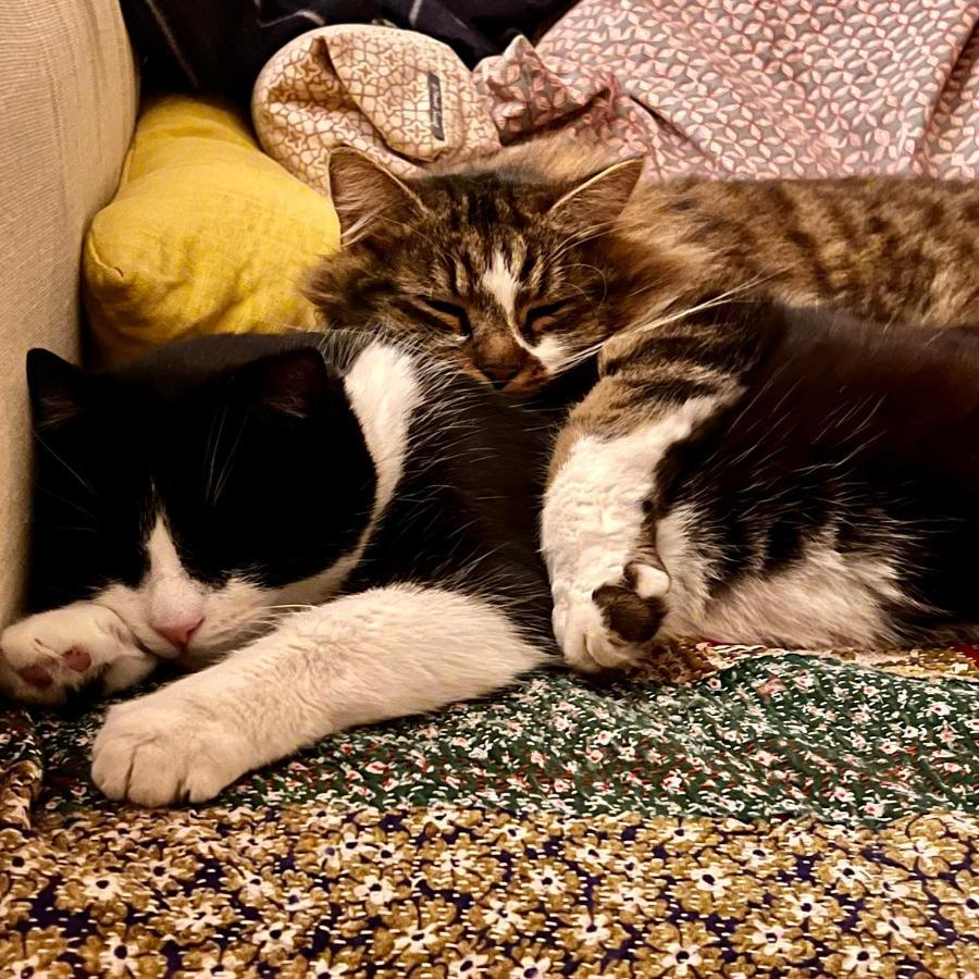 Willa Dans Un Cadre Exceptionnel, Ferme Renovee A 17Km De Paris Boissy-Saint-Léger Zewnętrze zdjęcie